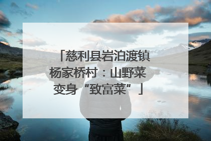 慈利县岩泊渡镇杨家桥村：山野菜变身“致富菜”