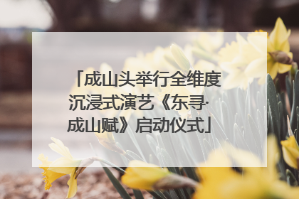 成山头举行全维度沉浸式演艺《东寻·成山赋》启动仪式