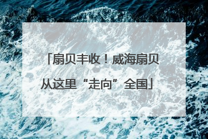 扇贝丰收！威海扇贝从这里“走向”全国