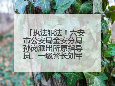 执法犯法！六安市公安局金安分局孙岗派出所原指导员、一级警长刘军被“双开”