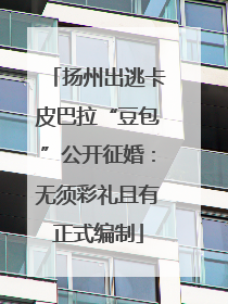 扬州出逃卡皮巴拉“豆包”公开征婚：无须彩礼且有正式编制