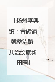 扬州李典镇：青砖铺就整洁路 共治绘就新田园