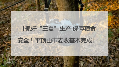 抓好“三夏”生产 保障粮食安全！平顶山市麦收基本完成