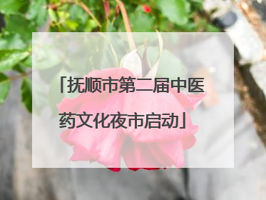 抚顺市第二届中医药文化夜市启动