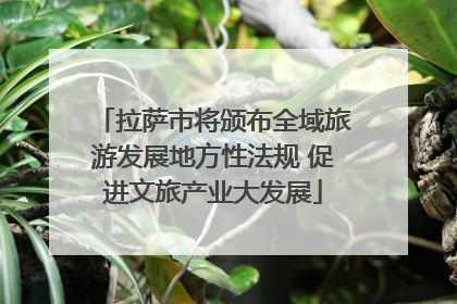 拉萨市将颁布全域旅游发展地方性法规 促进文旅产业大发展