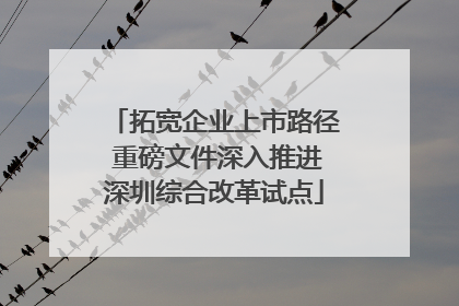 拓宽企业上市路径 重磅文件深入推进深圳综合改革试点