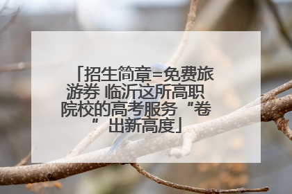 招生简章=免费旅游券 临沂这所高职院校的高考服务“卷”出新高度