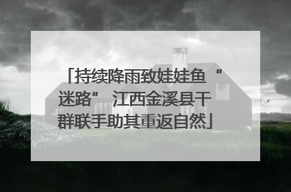 持续降雨致娃娃鱼“迷路” 江西金溪县干群联手助其重返自然