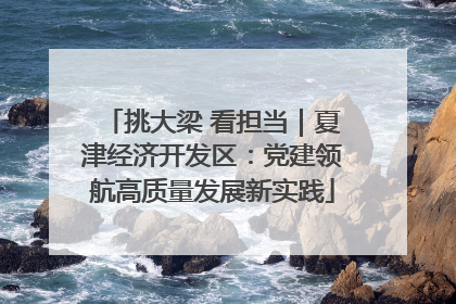 挑大梁 看担当｜夏津经济开发区：党建领航高质量发展新实践
