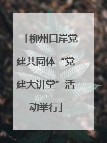 柳州口岸党建共同体“党建大讲堂”活动举行