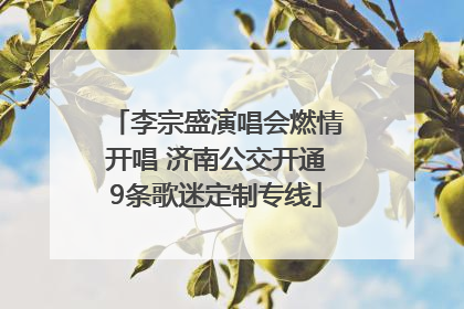 李宗盛演唱会燃情开唱 济南公交开通9条歌迷定制专线