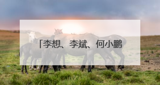 李想、李斌、何小鹏齐祝小米YU7大卖