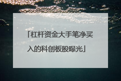 杠杆资金大手笔净买入的科创板股曝光