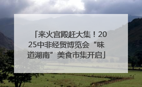来火宫殿赶大集！2025中非经贸博览会“味道湖南”美食市集开启