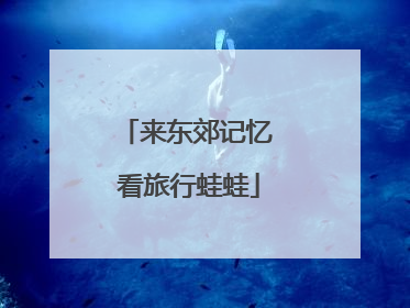 来东郊记忆 看旅行蛙蛙