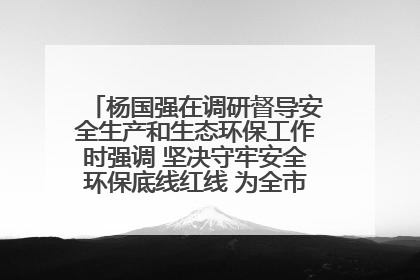 杨国强在调研督导安全生产和生态环保工作时强调 坚决守牢安全环保底线红线 为全市经济社会高质量发展提供坚强保障