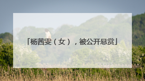 杨茜雯（女），被公开悬赏