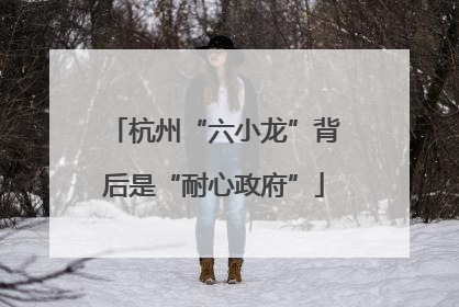 杭州“六小龙”背后是“耐心政府”