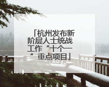 杭州发布新阶层人士统战工作“十个一”重点项目