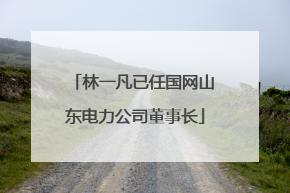 林一凡已任国网山东电力公司董事长