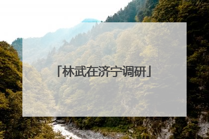 林武在济宁调研