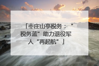 枣庄山亭税务：“税务蓝”助力退役军人“再起航”