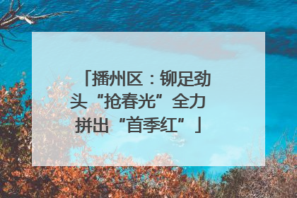 播州区：铆足劲头“抢春光”全力拼出“首季红”