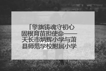 擎旗铸魂守初心 固根育苗担使命——天长市炳辉小学与萧县师范学校附属小学结对共建活动纪实