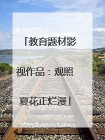 教育题材影视作品：观照夏花正烂漫