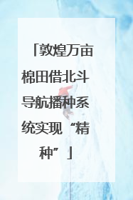 敦煌万亩棉田借北斗导航播种系统实现“精种”
