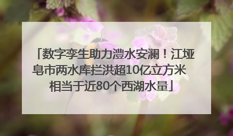 数字孪生助力澧水安澜！江垭皂市两水库拦洪超10亿立方米 相当于近80个西湖水量