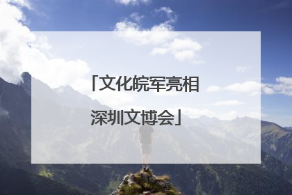 文化皖军亮相深圳文博会