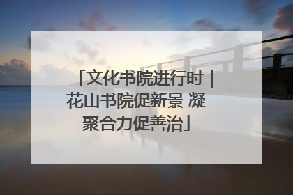 文化书院进行时｜花山书院促新景 凝聚合力促善治