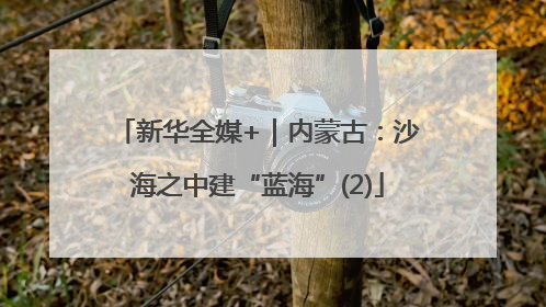 新华全媒+｜内蒙古：沙海之中建“蓝海”(2)