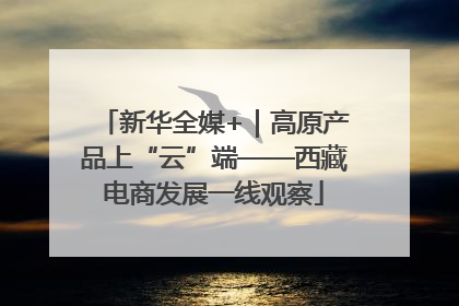 新华全媒+｜高原产品上“云”端——西藏电商发展一线观察
