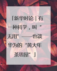 新华时论｜有一种科学，叫“无用”——也谈华为的“黄大年茶思屋”