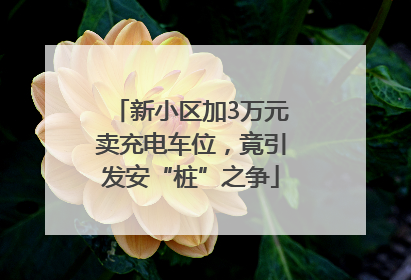 新小区加3万元卖充电车位，竟引发安“桩”之争