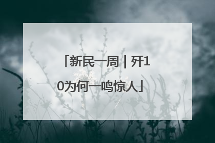 新民一周｜歼10为何一鸣惊人