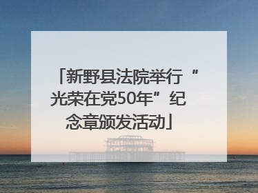 新野县法院举行“光荣在党50年”纪念章颁发活动