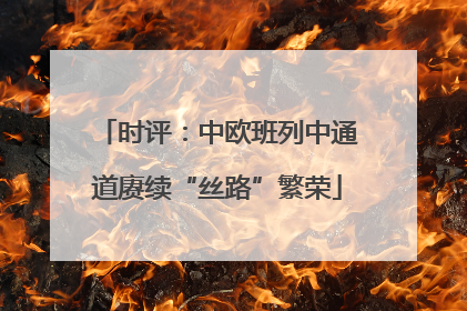 时评：中欧班列中通道赓续“丝路”繁荣