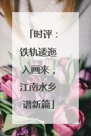 时评：铁轨逶迤入画来，江南水乡谱新篇
