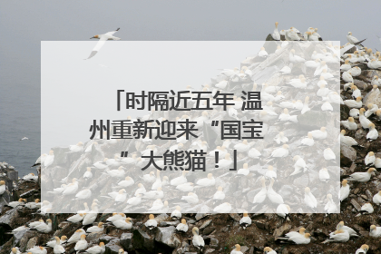 时隔近五年 温州重新迎来“国宝”大熊猫！
