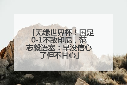 无缘世界杯！国足0-1不敌印尼，范志毅语塞：早没信心了但不甘心