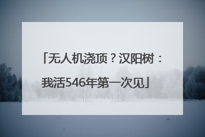 无人机浇顶？汉阳树：我活546年第一次见
