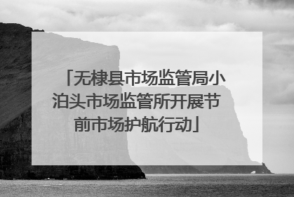 无棣县市场监管局小泊头市场监管所开展节前市场护航行动