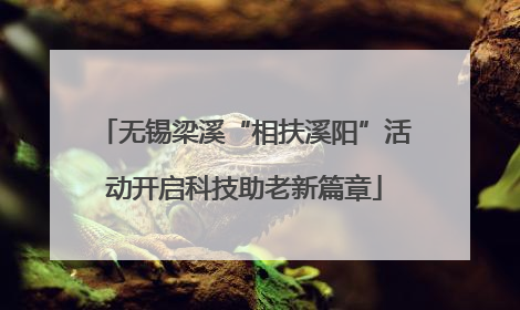 无锡梁溪“相扶溪阳”活动开启科技助老新篇章