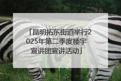 昆明拓东街道举行2025年第二季度楼宇宣讲团宣讲活动