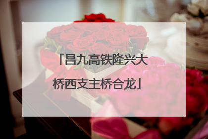 昌九高铁隆兴大桥西支主桥合龙