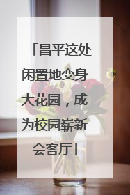 昌平这处闲置地变身大花园，成为校园崭新会客厅