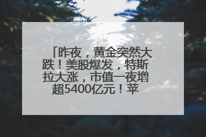 昨夜，黄金突然大跌！美股爆发，特斯拉大涨，市值一夜增超5400亿元！苹果传来大消息